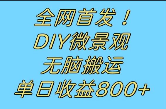全网首发冷门赛道!DIY微景观,无脑搬运视频,日收益800+ 全网首发冷门赛道!DIY微景观,无脑搬运视频,日收益800+